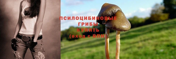 дурь Алексеевка