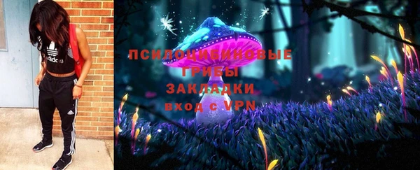 дурь Алексеевка