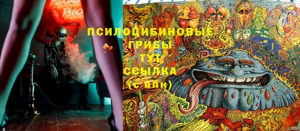мет Алексин