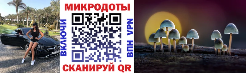 Псилоцибиновые грибы Cubensis Кохма