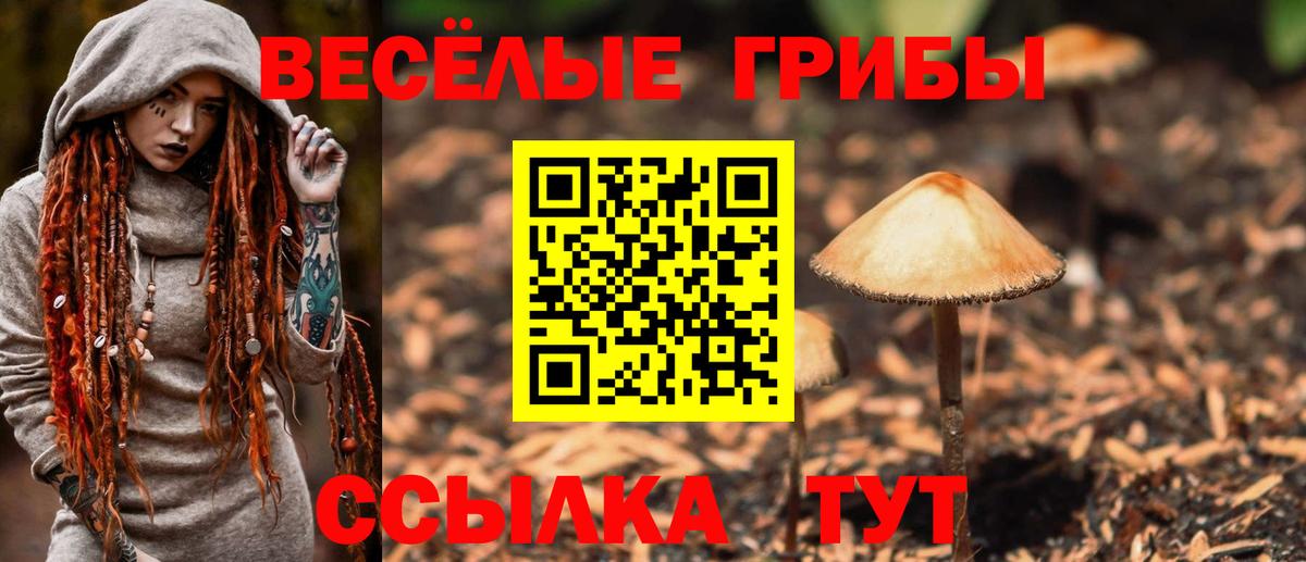 Каннабис  Кокаин  APVP СК кристаллы  МДМА  МЕФ   Кохма  Вход с VPN 