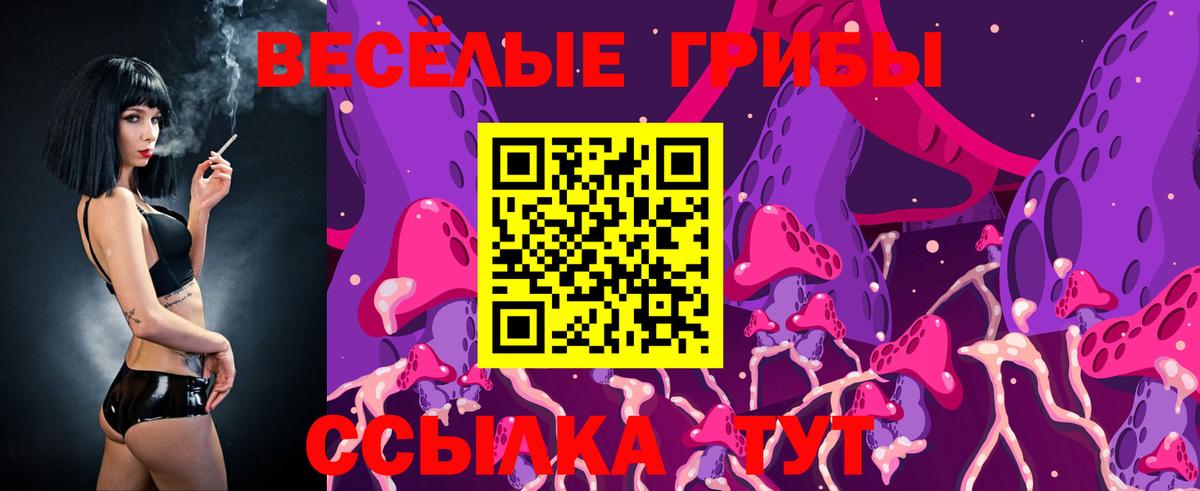 Кохма  Псилоцибиновые грибы Psilocybe  Вход с VPN 