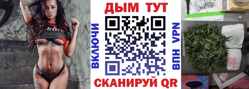 закладка Кохма Бошки Шишки сатива